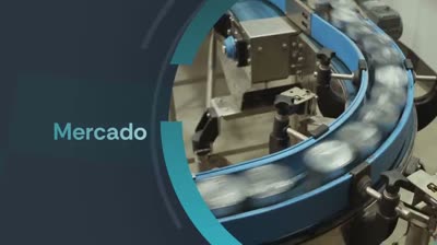 Plano 13